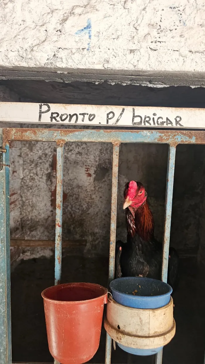 Estado da Bahia