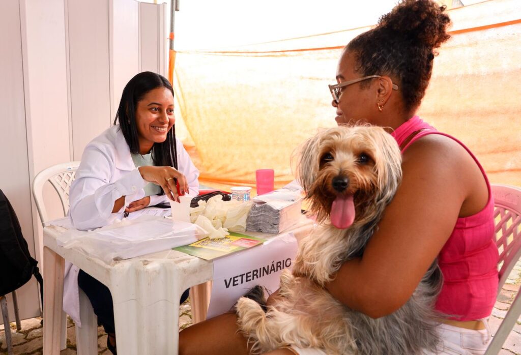 Ação da campanha Dezembro Verde reforça combate ao abandono animal – Imprensa Bahia