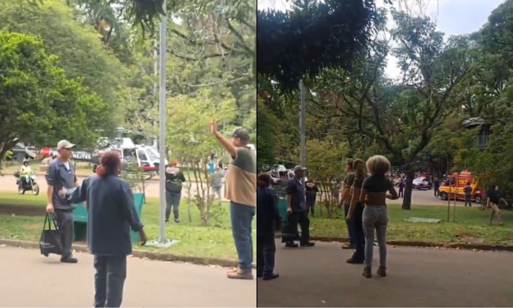 Mulher sofre traumatismo crânio encefálico após ser atingida por árvore no Parque Ibirapuera