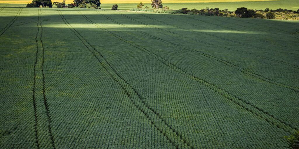 Senado aprova plano para fabricação de fertilizantes no Brasil